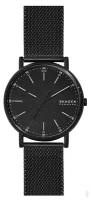 Мужские наручные часы Skagen SKW6579