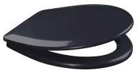 Сиденье для унитаза Orio, 42/44 x 37 см, черное матовое