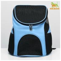 Рюкзак для переноски кошек и собак ТероПром 5266376, 31,5 х 25 х 33 см, голубой