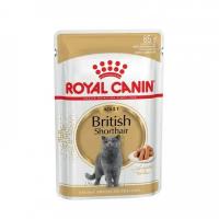 Влажный корм для кошек Royal Canin British Shorthair Adult, для взрослых кошек породы британская короткошерстная, 6 шт. х 85 г (кусочки в соусе)