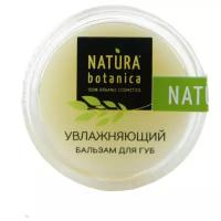 Natura Botanica Бальзам для губ Увлажняющий