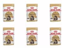 Royal Canin Корм консервированный для кошек Мейн Кун, соус, 85 г, 6 шт