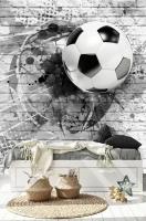 Фотообои "Футбольный мяч на кирпичной стене" 200х260 см