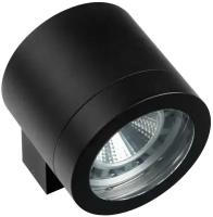 Светильник уличный Lightstar Paro, 350617, 20W, LED