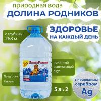 Вода Долина Родников с серебром. Объем 5л*2. Ручеек, негазированная, Вода минеральная питьевая природная лечебная, выводит токсины, для детей