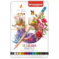 Набор цветных карандашей Bruynzeel Expression Colour 12цв в металл.кор