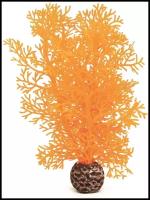 Оранжевый морской веер, малый, Sea fan small orange