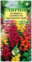 Гавриш Антирринум Львиный зев Высокорослый, смесь 0,05 гр