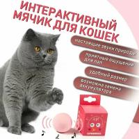 Игрушка для кошек и собак интерактивный мяч со звуком "птичке"