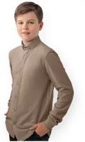 Рубашка для мальчика Winkiki школьная WJB82236 бежевый 134 размер