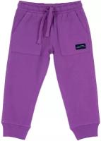 Брюки спортивные Chicco, цвет фиолетовый, размер 104