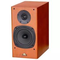 Castle Acoustics Knight 2 Cherry