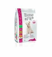 Сухой корм BeneFit Puppy Mini with Lamb & Rice для щенков малых пород с ягненком и рисом 2.5 кг