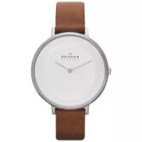 Наручные часы Skagen SKW2214