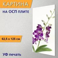 Вертикальная картина на ОСП "Камбрия, орхидея, фиолетовый" 62x125 см. для интерьериа