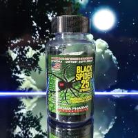 Black Spider