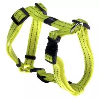 Rogz Шлейка серия Utility, размер M (32-52см), ширина 1,6 см, желтый (H-HARNESS) SJ11H | H-HARNESS, 0,07 кг