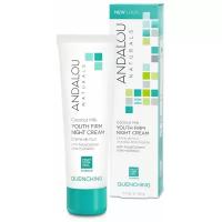 Andalou Naturals Quenching Coconut Milk Youth Firm Night Cream Крем Увлажняющий ночной для лица