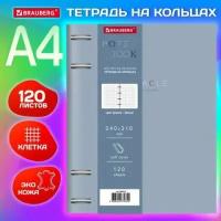 Тетрадь на кольцах большая А4 (240х310 мм), 120 л, под кожу, BRAUBERG VISTA, "Пастельная", 404514