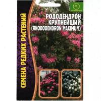 Азалия/ Рододендрон Крупнейший, многолетний кустарник ( 1 уп: 0,01 г семян )