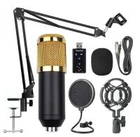 Конденсаторный микрофон набор / Профессиональная голосовая запись для телефона и ПК / Микрофон студийный с поп-фильтром, золотой