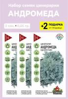 Семена Цинерария приморская "Андромеда", 3 упаковки + 2 подарка