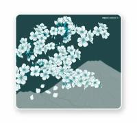 Коврик для мыши X-raypad Aqua Control II Sakura Green L (360x300x4мм)