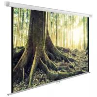 Рулонный матовый белый экран cactus WallExpert CS-PSWE-220x220-WT, 110", белый