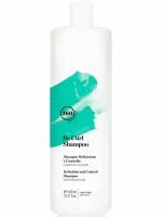 Шампунь дисциплинирующий для вьющихся и волнистых волос / Be Curl Shampoo 450 мл