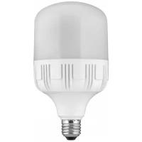 Лампа светодиодная Экономка LED HW E4065, E40