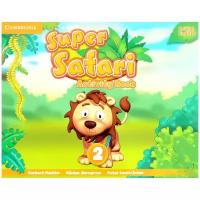 Super Safari 2 Activity Book Рабочая тетрадь