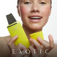 Ультразвуковая чистка лица Gess Exotic