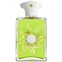 Amouage Sunshine Man парфюмерная вода 100 мл