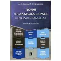 Теория государства и права в схемах и таблицах Учебное пособие Бочков АА Гурщенков ПВ