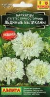 Бархатцы пр. Ледяные великаны 7шт Одн 50см (Аэлита)