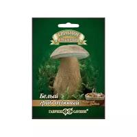 Семена Гавриш Грибное лукошко Белый гриб Дубовый на зерновом субстрате 15 мл