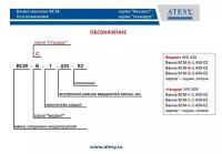 Ванна моечная Atesy ВСМ-С-2.430-02 (ВСМ-2/430)