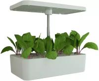 Экоферма для выращивания растений Xiaomi Shenpu Indoor Hydroponik Smart Garden White (SP-SG18)