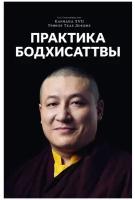 Практика Бодхисаттвы. Его Святейшество Гьялва Кармапа XVII Тринле Тхае Дордже