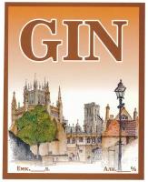 Этикетка для бутылок самоклеящаяся "GIN" 85*100 мм, 25 шт