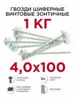 Гвозди шиферные винтовые (зонтичные) Профикреп оцинкованные 4 х 100 мм, 1 кг