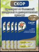 Комплект Скор от комплекса болезней 2 ампулы по 2 мл, 5 упаковок