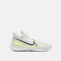 Кроссовки NIKE Renew Elevate 3 DD9304-300, баскетбольные