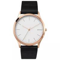 Наручные часы SKAGEN Jorn, белый