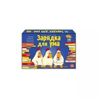 Настольная игра Рыжий кот Зарядка для ума ИН-6395