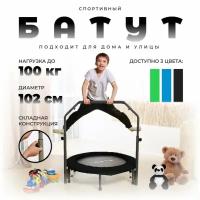 Батут с поручнем DFC PLENY 40" BLACK