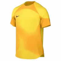 Футболка вратарская Nike GARDIEN IV LS