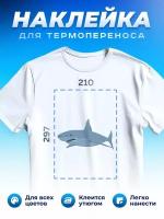 Термонаклейка для одежды наклейка Акула (Shark, Термонаклейка для одежды наклейка с Акулой)_0038