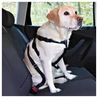 Автомобильный ремень безопасности со шлейкой для собак, размер S, Trixie (товары для животных, 30-60 см, 1290)