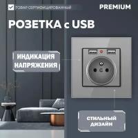 Розетка с двумя USB портами с заземлением